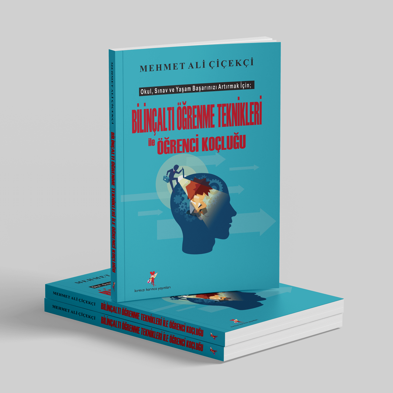 Bilinçaltı Öğrenme Teknikleri ile Öğrenci Koçluğu